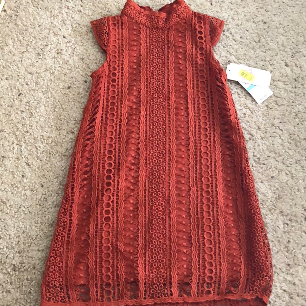 Brick Colored Dress